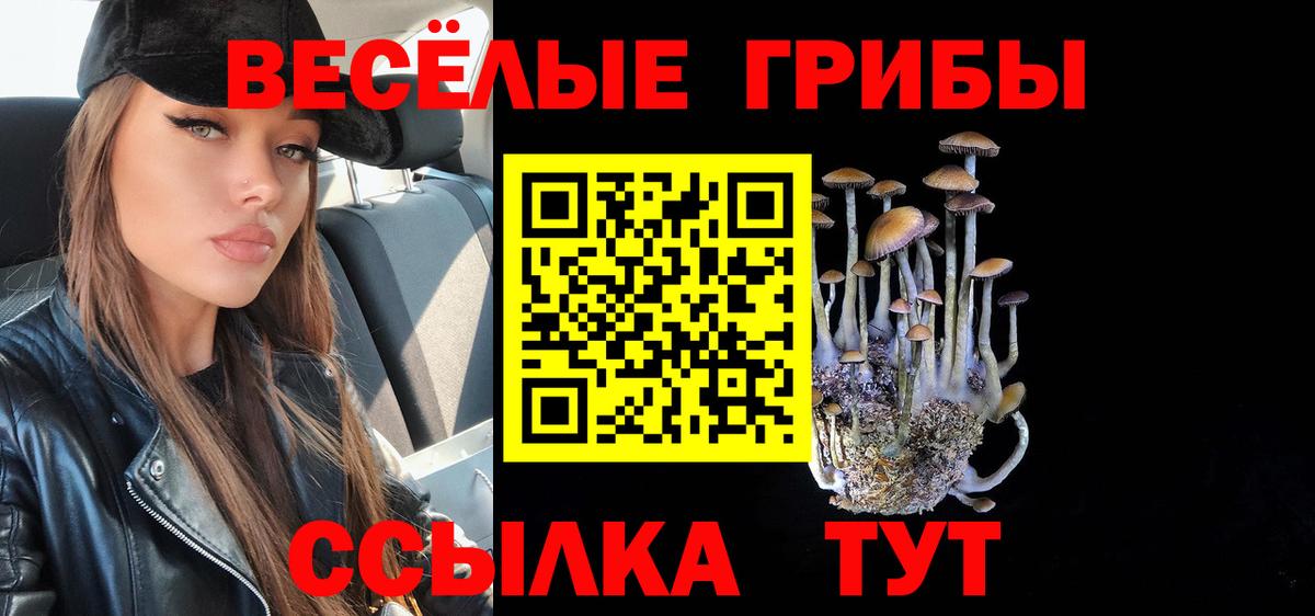 Галлюциногенные грибы GOLDEN TEACHER Рязань